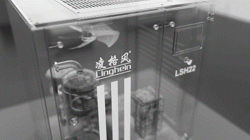 20250606719094.gif 640.gif