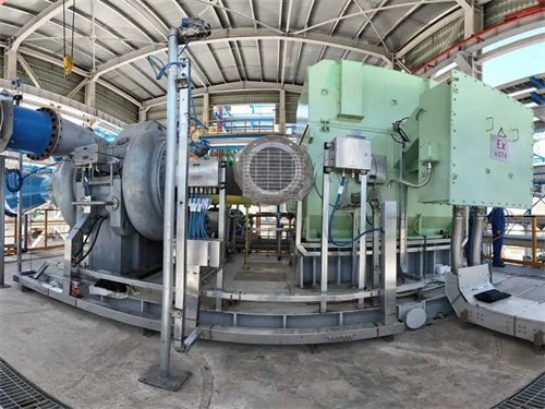 20250708120564.jpg 640.jpg